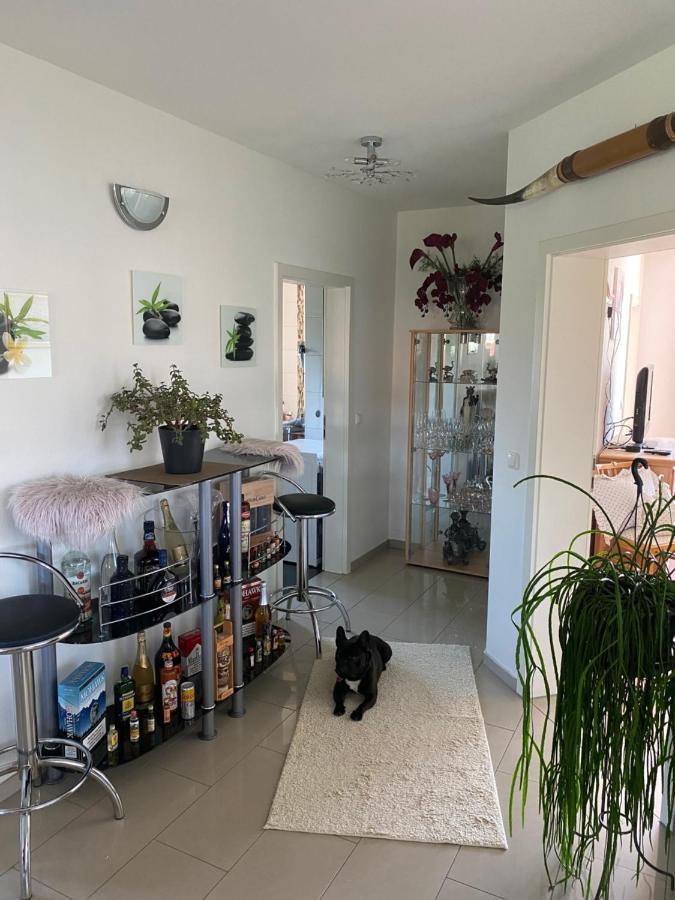 Appartement Luxus FeWo - Spannagl à Pocking  Extérieur photo